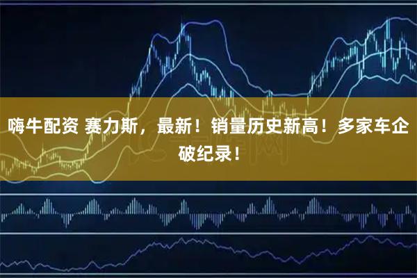 嗨牛配资 赛力斯，最新！销量历史新高！多家车企破纪录！