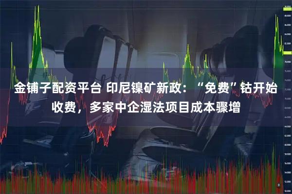 金铺子配资平台 印尼镍矿新政：“免费”钴开始收费，多家中企湿法项目成本骤增